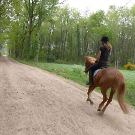 Wildenborcherhof Vorden Zewnętrze zdjęcie