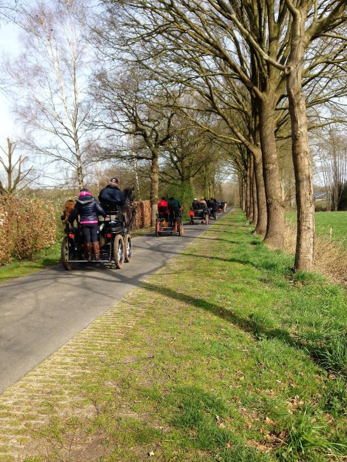 Wildenborcherhof Vorden Zewnętrze zdjęcie