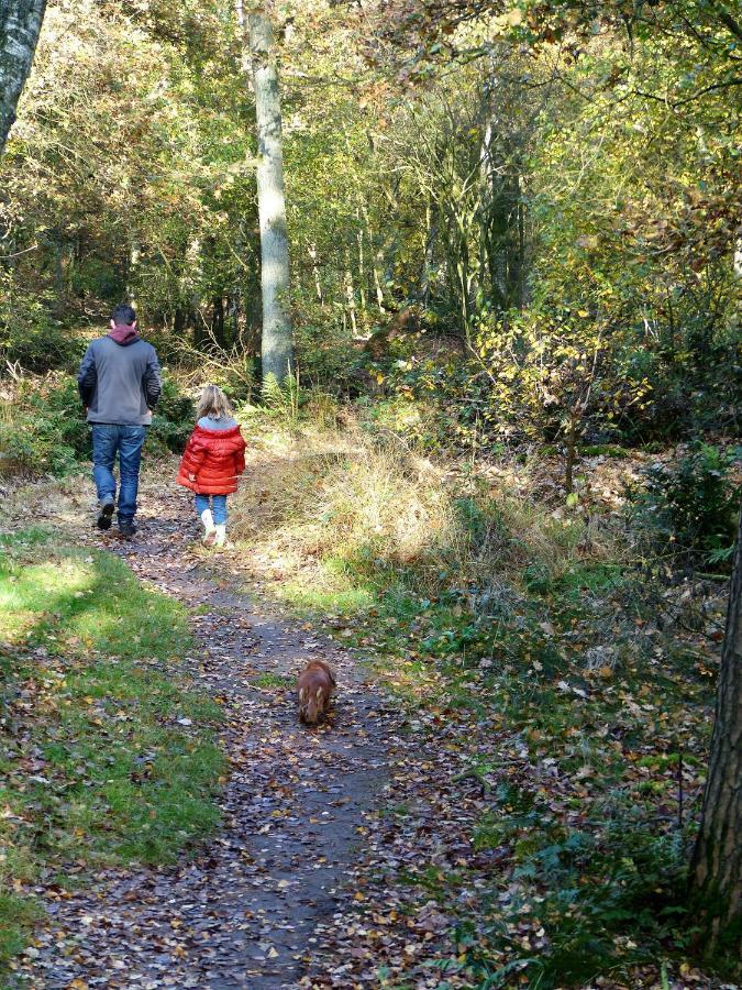 Wildenborcherhof Vorden Zewnętrze zdjęcie